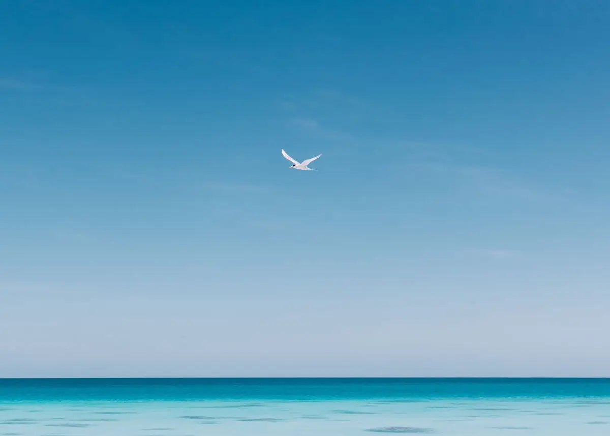 Affiche murale nordique paysage marin – Poster toile plage et océan bleu moderne pour salon et décoration intérieure (sans cadre)