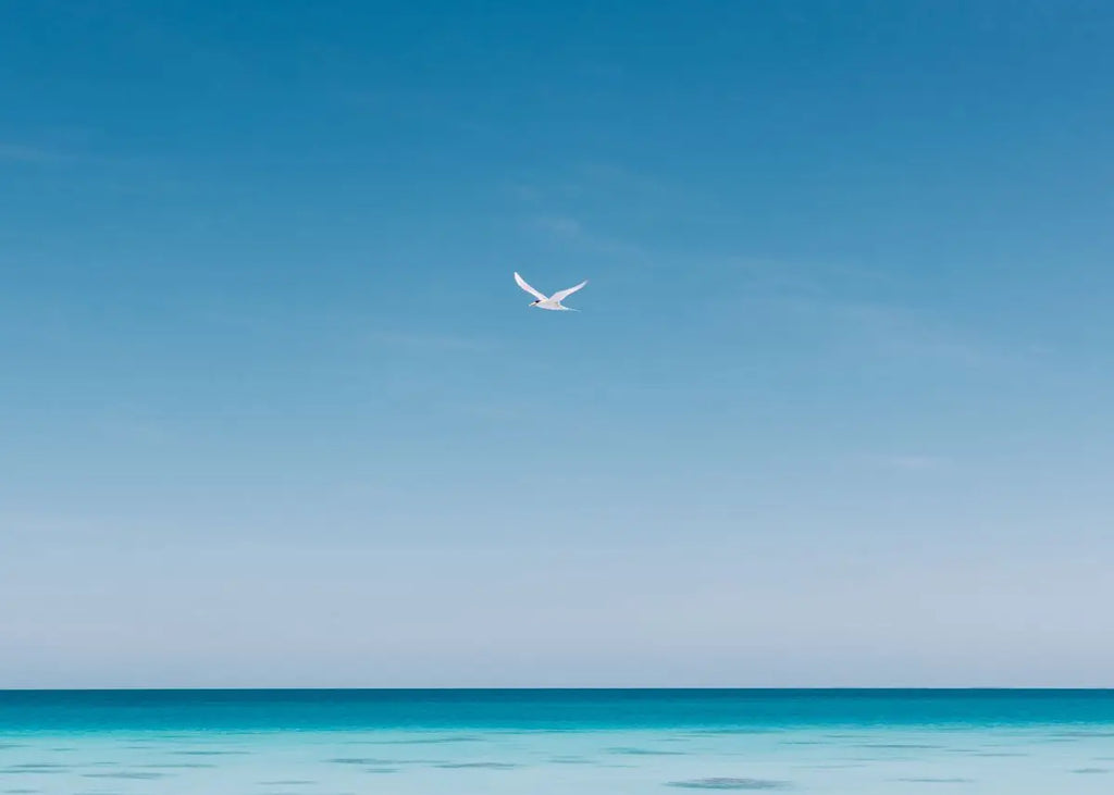 Affiche murale nordique paysage marin – Poster toile plage et océan bleu moderne pour salon et décoration intérieure (sans cadre)